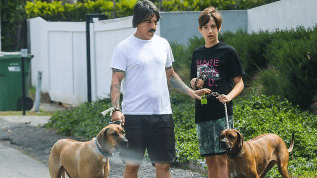 Everly Bear Kiedis